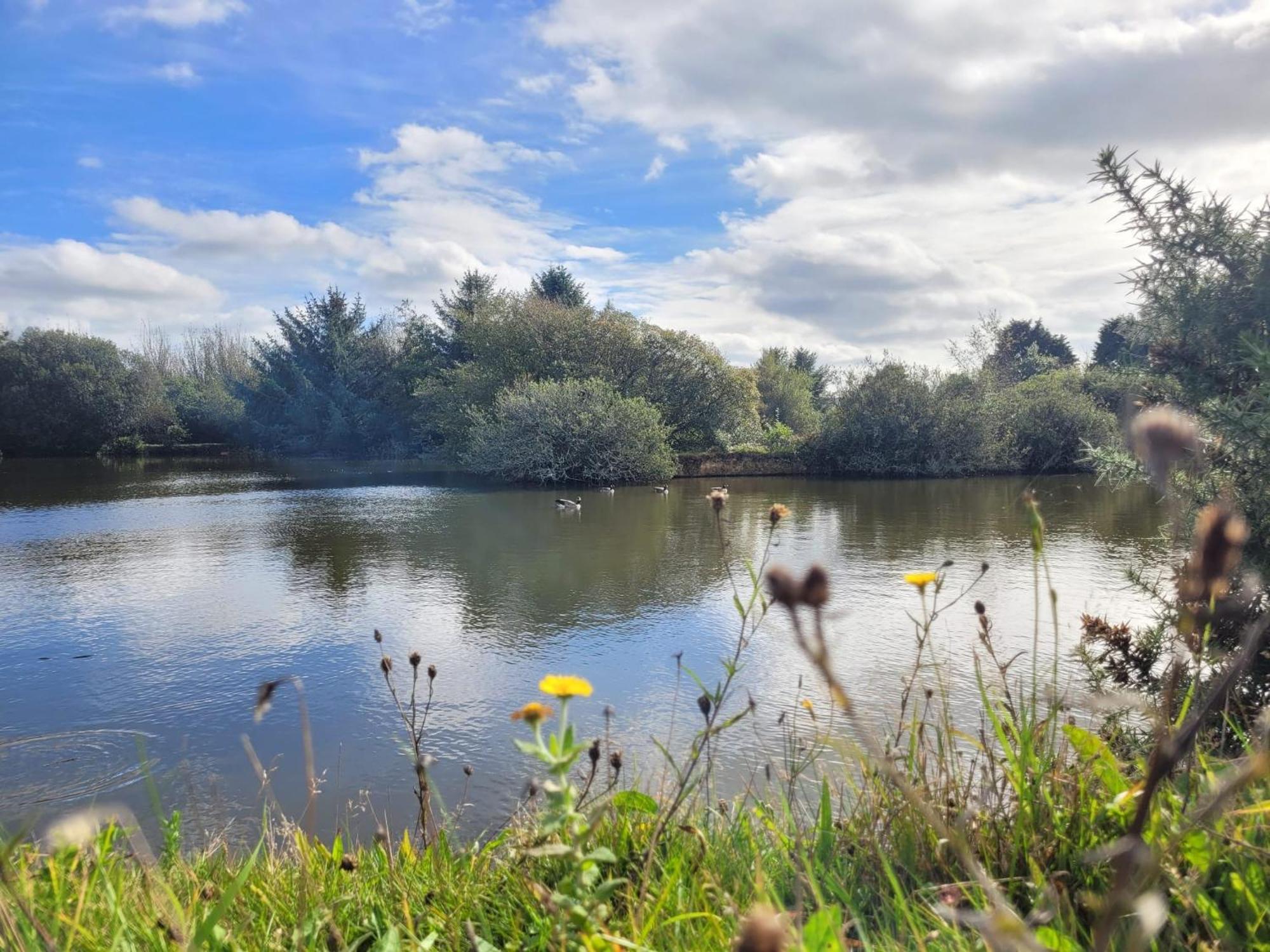 Lakeside Glamping Firecrest St Columb Major Kültér fotó