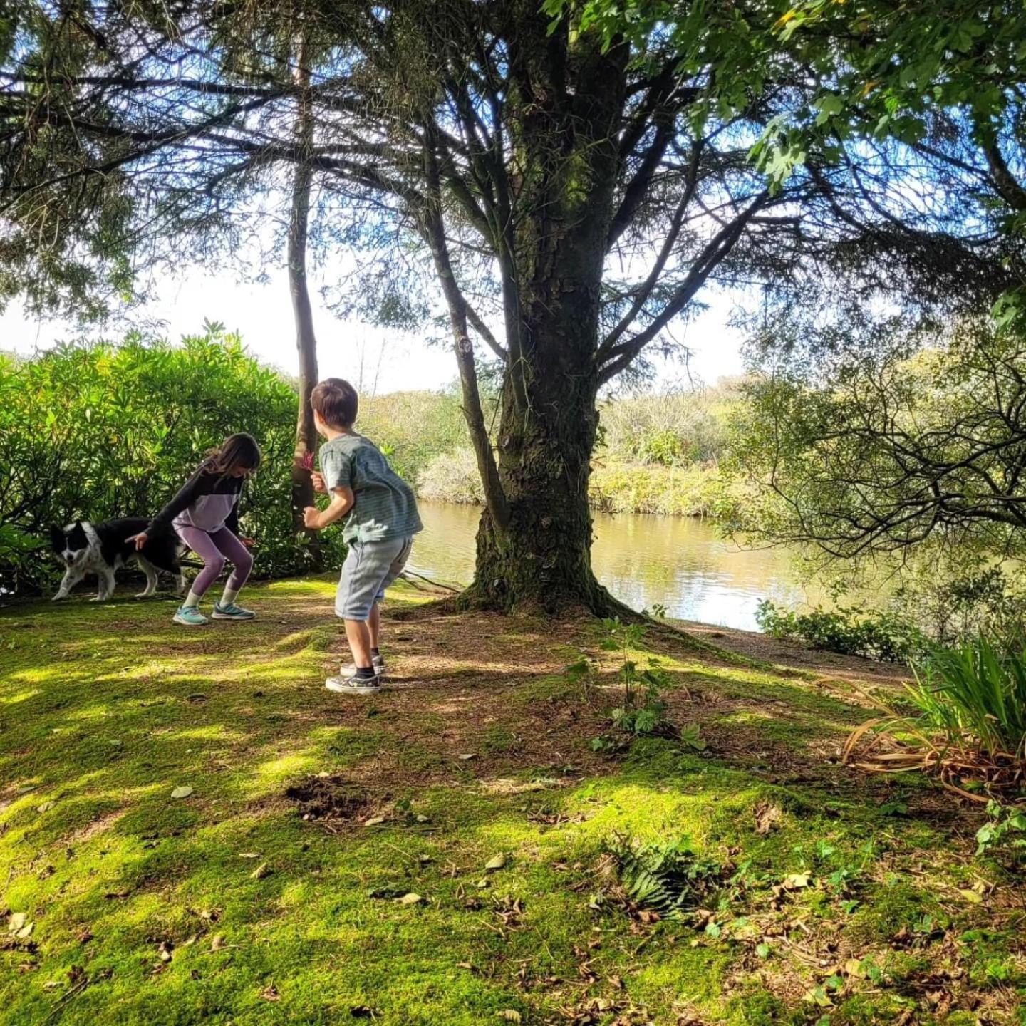 Lakeside Glamping Firecrest St Columb Major Kültér fotó