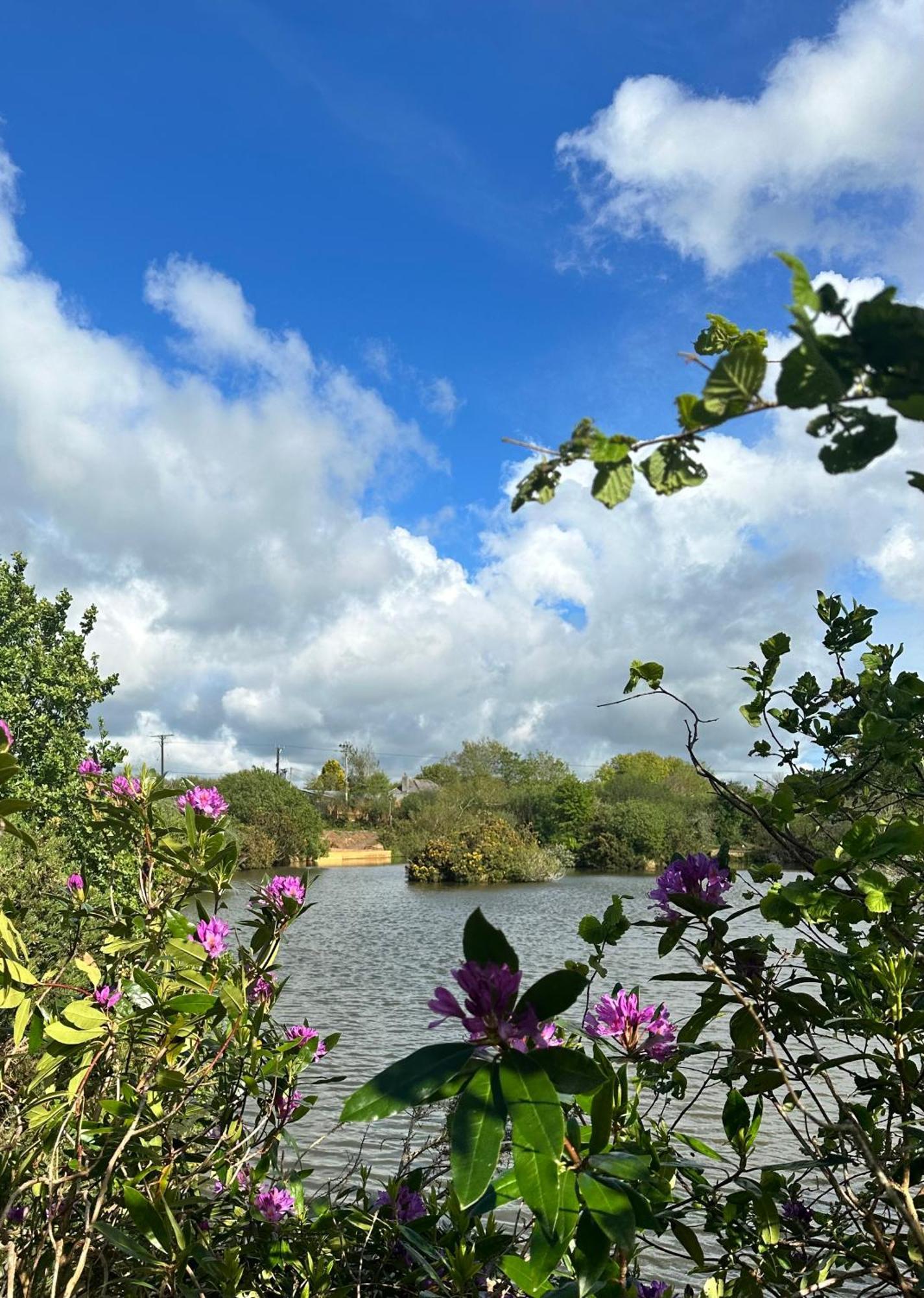 Lakeside Glamping Firecrest St Columb Major Kültér fotó