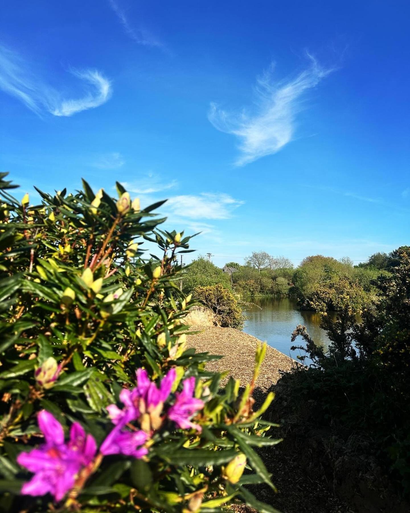 Lakeside Glamping Firecrest St Columb Major Kültér fotó