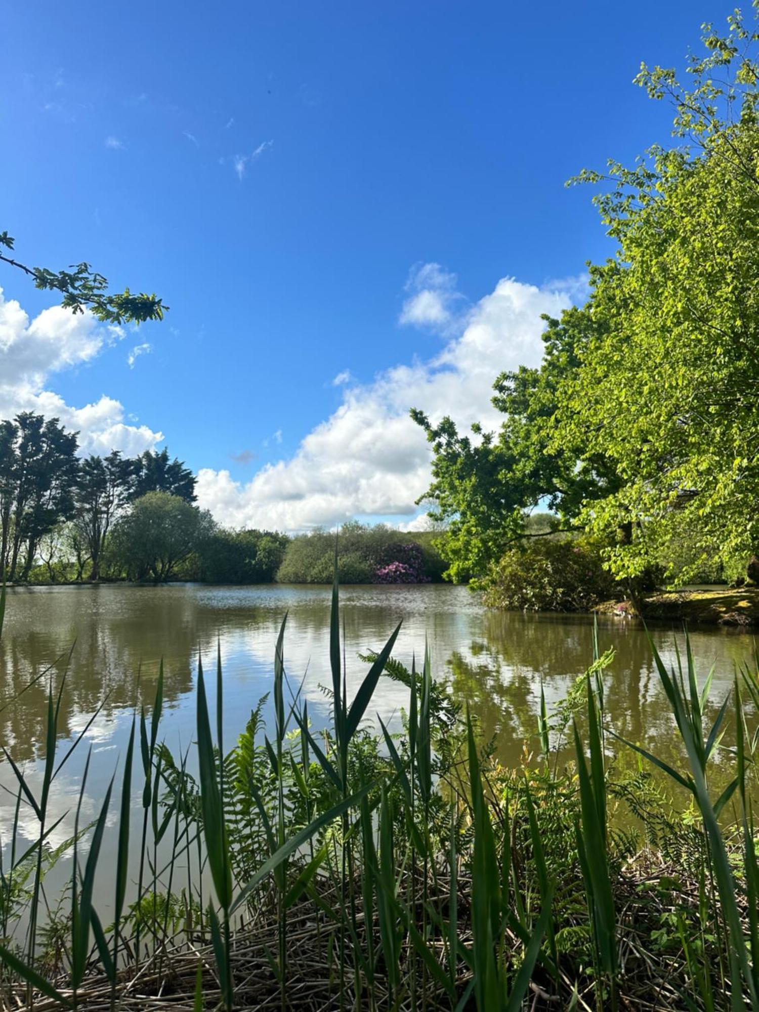 Lakeside Glamping Firecrest St Columb Major Kültér fotó
