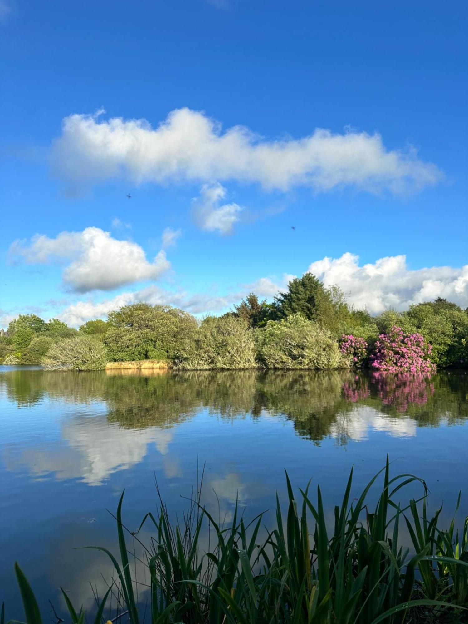 Lakeside Glamping Firecrest St Columb Major Kültér fotó