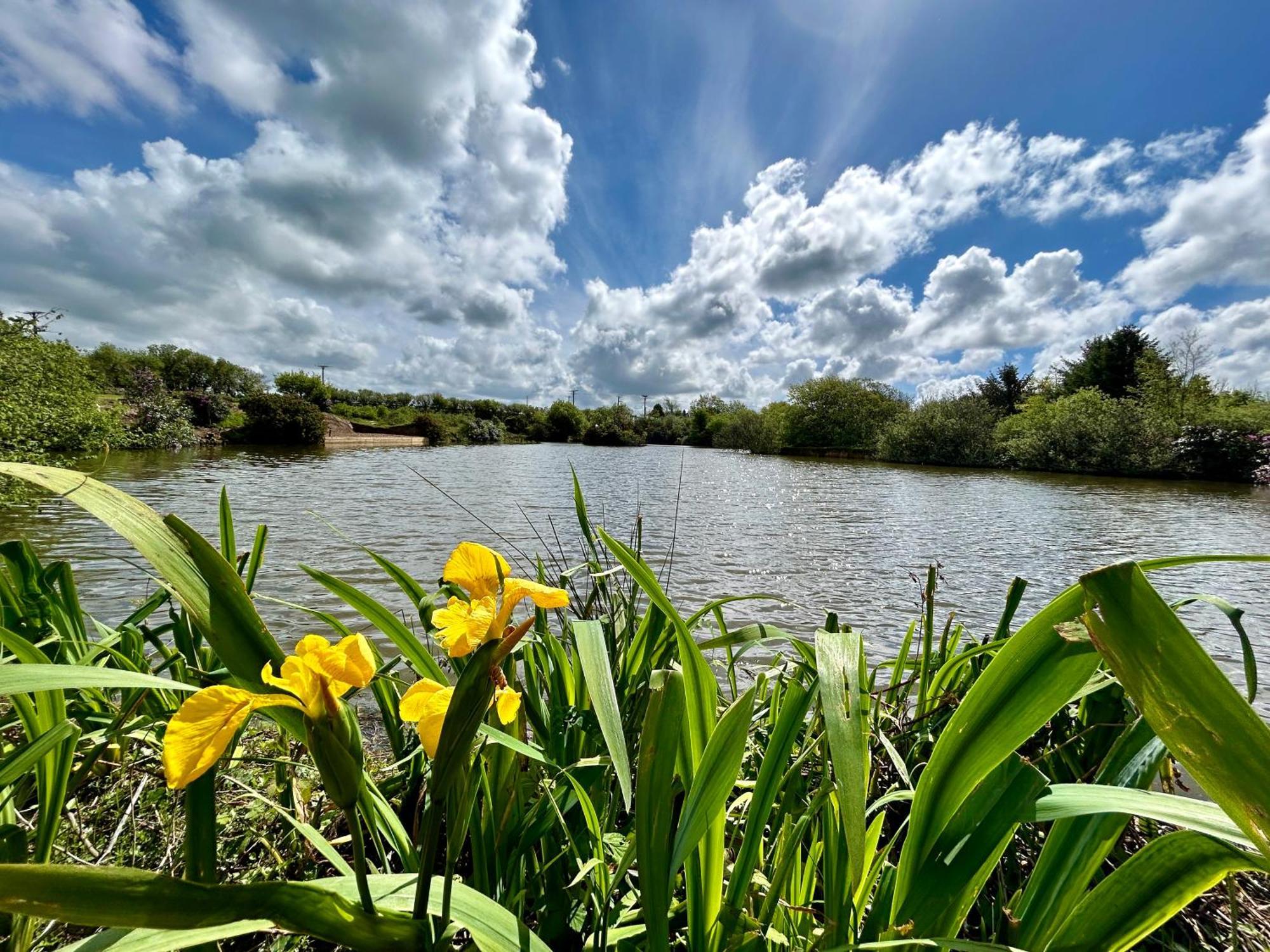 Lakeside Glamping Firecrest St Columb Major Kültér fotó