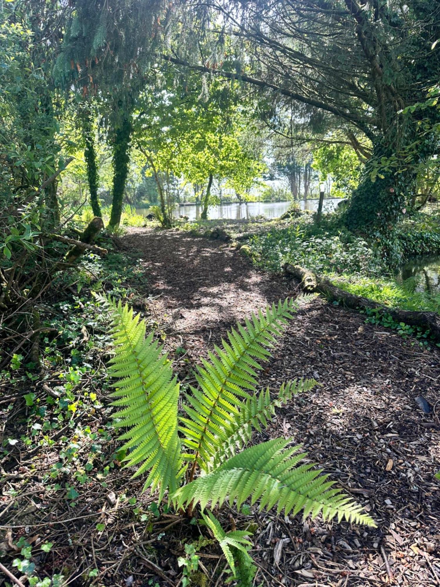 Lakeside Glamping Firecrest St Columb Major Kültér fotó